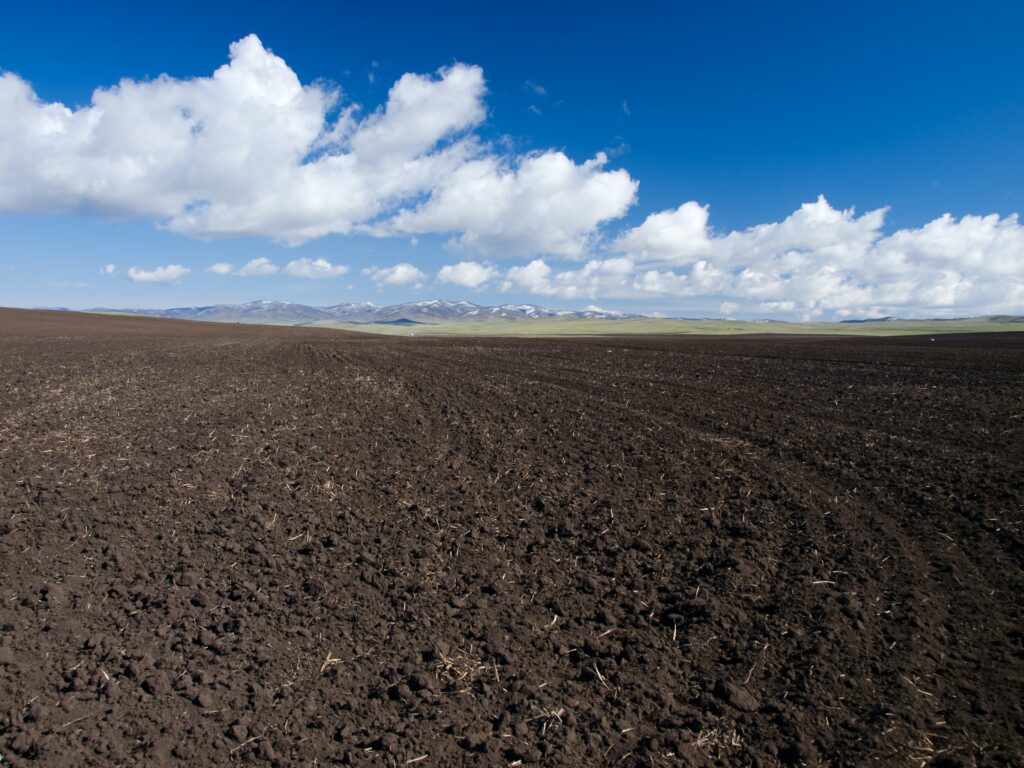 Freshly cleared field landscape